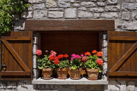 Name:  ceramic-flower-pots_13722.jpg
Views: 6924
Size:  49.8 KB