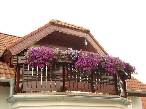 Name:  P1020645.JPG
Views: 5948
Size:  46.9 KB