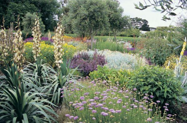 Name:  dry_garden_05.jpg
Views: 13270
Size:  66.8 KB