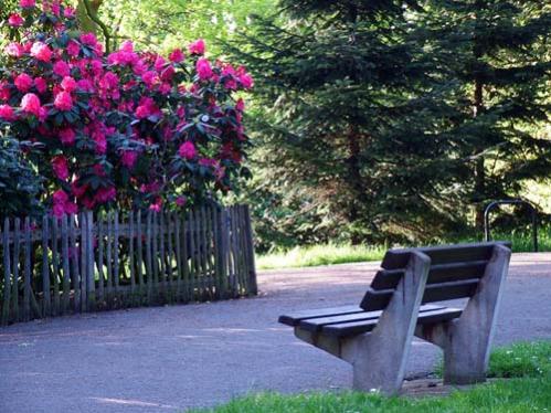 Name:  garden-bench-with-view.jpg
Views: 4920
Size:  48.6 KB