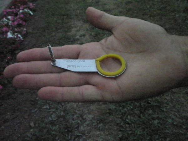 Name:  P8301971 (600 x 450).jpg
Views: 8982
Size:  54.4 KB