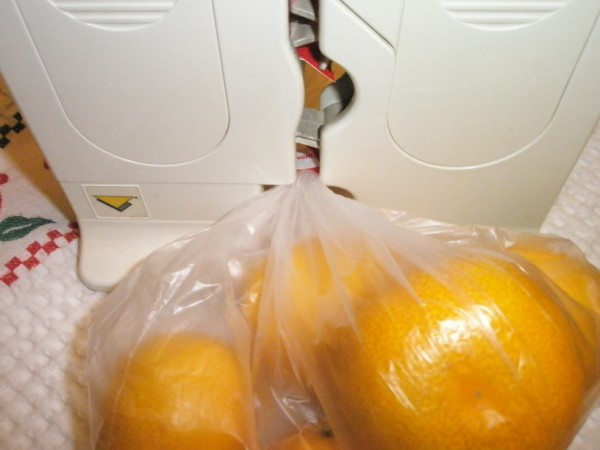 Name:  PB082516 (600 x 450).jpg
Views: 7202
Size:  42.7 KB