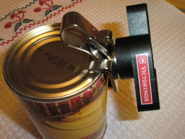 Name:  PB082518 (600 x 450).jpg
Views: 7232
Size:  63.5 KB