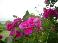 Name:  Resim 279-2.jpg
Views: 9884
Size:  29.0 KB