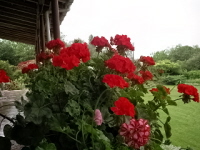 Name:  Resim 278-2.jpg
Views: 9819
Size:  26.0 KB