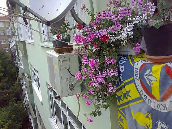 Name:  Hkn1029-kk.jpg
Views: 3591
Size:  68.8 KB