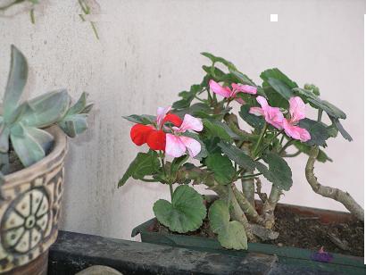 Name:  IMGP4577.JPG
Views: 2476
Size:  31.2 KB