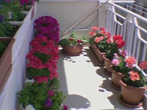 Name:  Foto(40).jpg
Views: 1604
Size:  25.8 KB