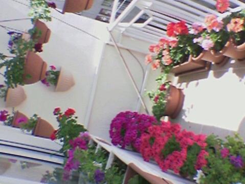 Name:  Foto(41).jpg
Views: 1602
Size:  28.3 KB
