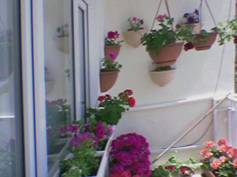 Name:  Foto(42).jpg
Views: 1623
Size:  23.2 KB