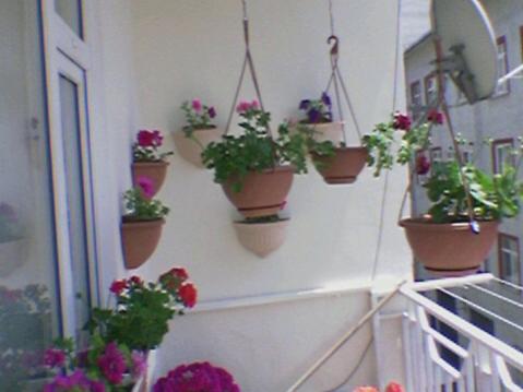 Name:  Foto(37).jpg
Views: 1614
Size:  22.7 KB