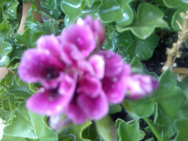 Name:  Grnt502.jpg
Views: 1889
Size:  40.1 KB