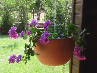 Name:  6_Agustos 028.JPG
Views: 7975
Size:  63.3 KB