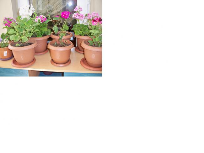Name:  KAYSER 038.jpg
Views: 1782
Size:  23.0 KB