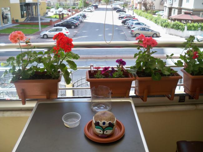 Name:  228.05.2011 041.jpg
Views: 1857
Size:  54.2 KB