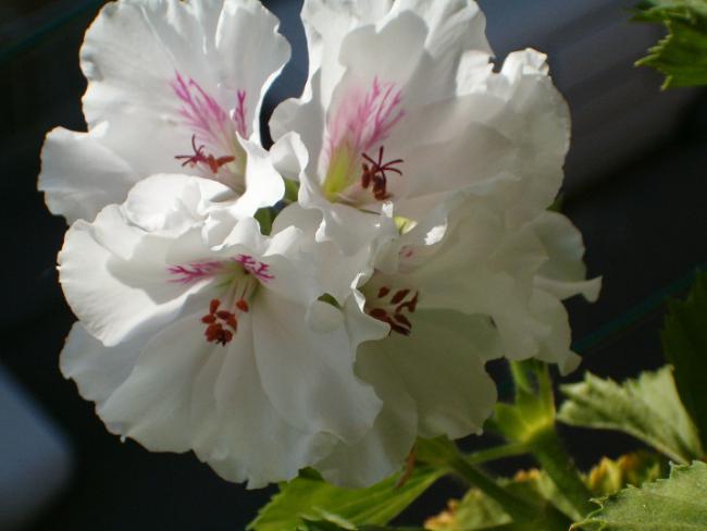Name:  001.jpg
Views: 1705
Size:  30.3 KB