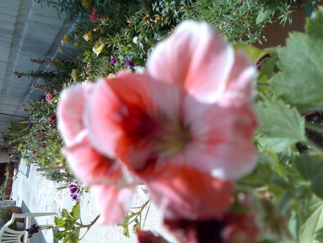 Name:  Grnt151.jpg
Views: 2267
Size:  52.5 KB