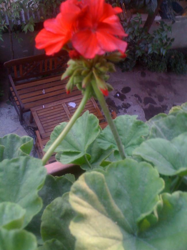 Name:  fotoraf (16).jpg
Views: 2195
Size:  58.9 KB