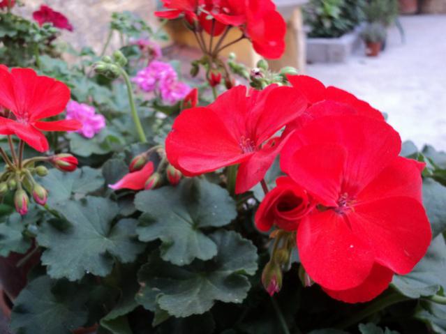 Name:  Image00010.jpg
Views: 2261
Size:  39.7 KB