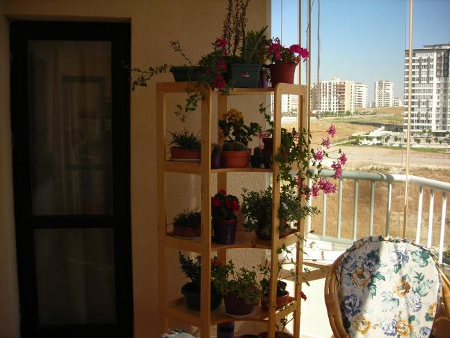 Name:  DSCN7836.jpg
Views: 2636
Size:  50.0 KB