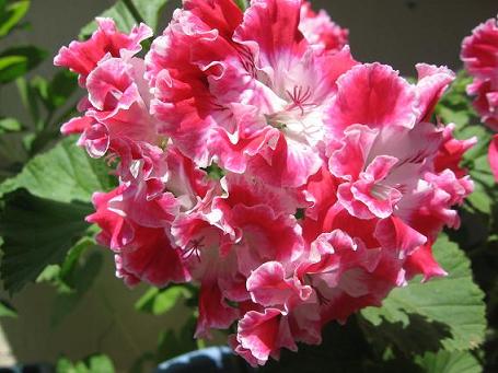 Name:  Resim 004.jpg
Views: 2618
Size:  41.4 KB