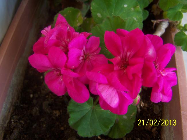 Name:  011.jpg
Views: 1798
Size:  35.1 KB