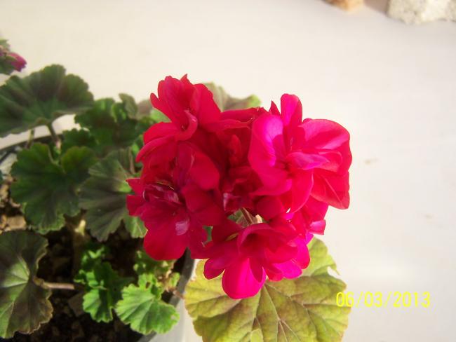 Name:  012.jpg
Views: 1713
Size:  30.8 KB