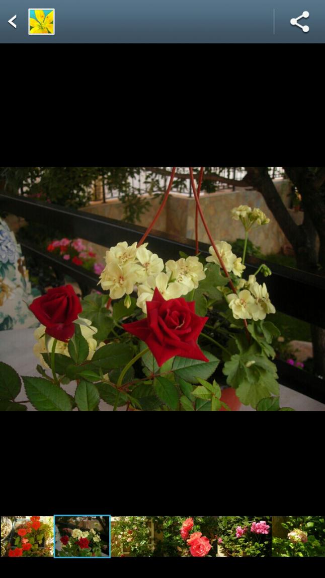 Name:  2013-05-12-00-21-03.jpg
Views: 10492
Size:  70.0 KB