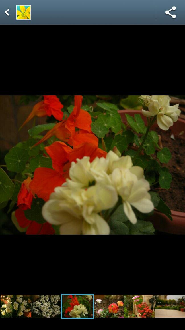 Name:  2013-05-12-00-24-23.jpg
Views: 10537
Size:  58.6 KB