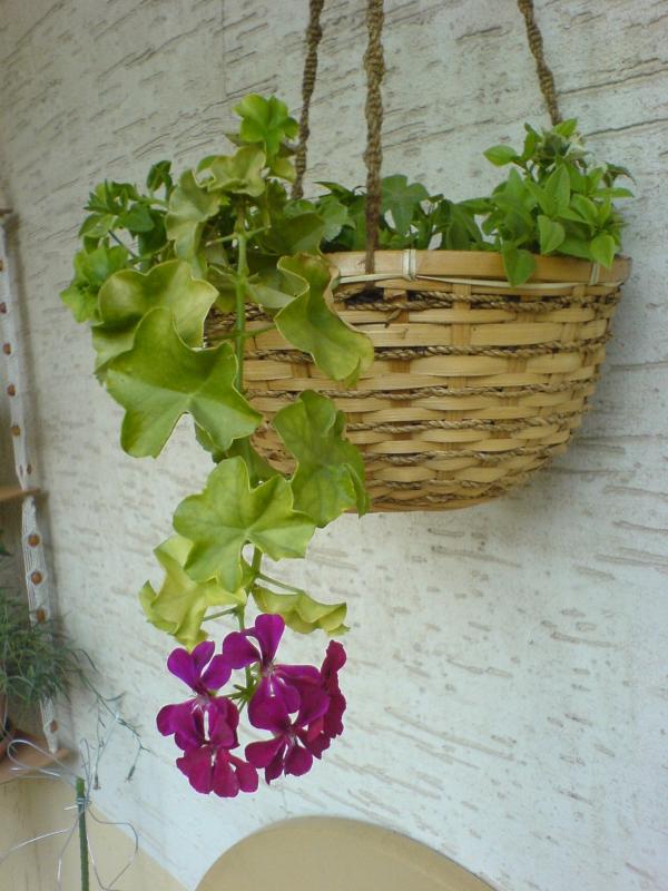 Name:  DSC04610.jpg
Views: 3087
Size:  69.2 KB