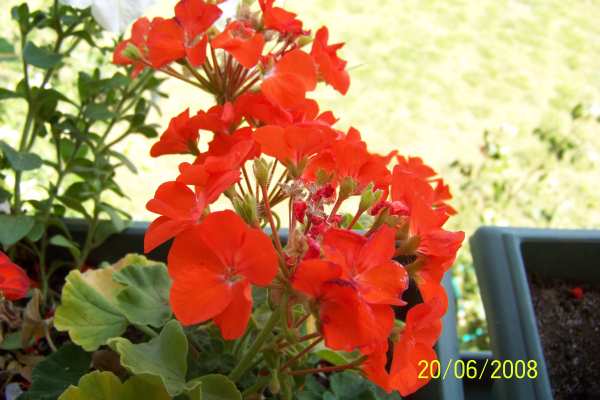 Name:  100_2551.jpg
Views: 2576
Size:  52.3 KB