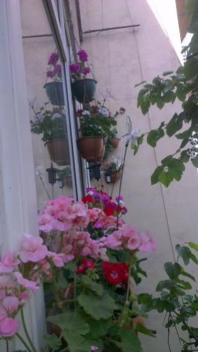 Name:  IMAG0446.jpg
Views: 1373
Size:  25.9 KB