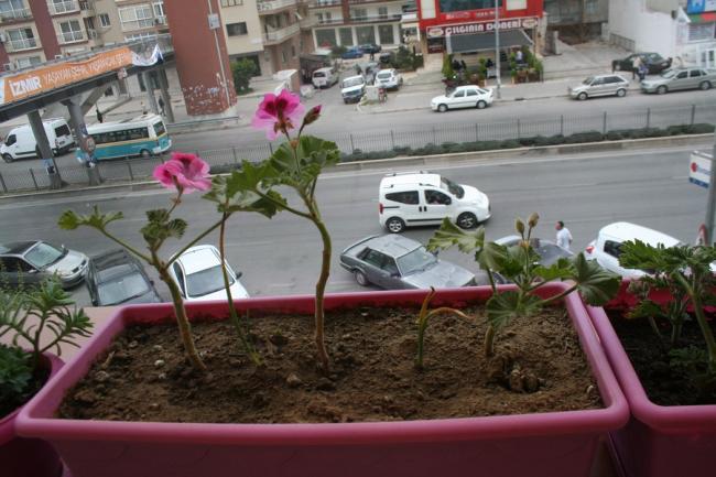 Name:  IMG_6247.jpg
Views: 1523
Size:  51.8 KB