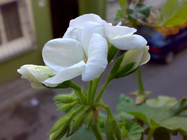 Name:  phpS92jNGAM.jpg
Views: 1846
Size:  49.5 KB