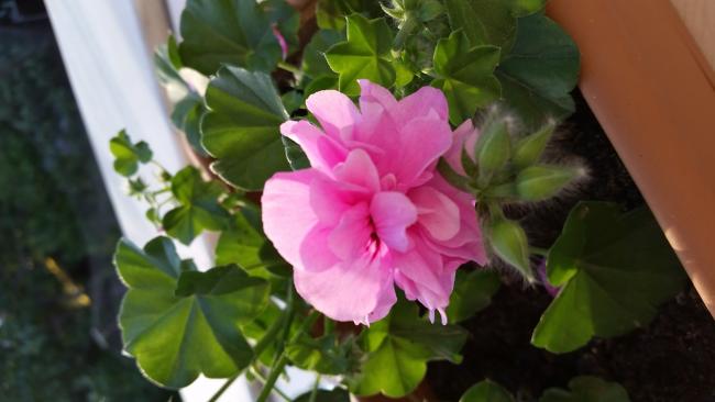 Name:  20150522_192921.jpg
Views: 930
Size:  29.7 KB