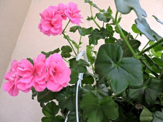 Name:  062.jpg
Views: 963
Size:  36.4 KB