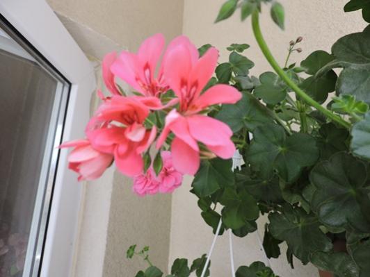 Name:  064.jpg
Views: 954
Size:  28.7 KB