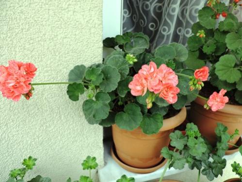 Name:  040.jpg
Views: 964
Size:  36.6 KB