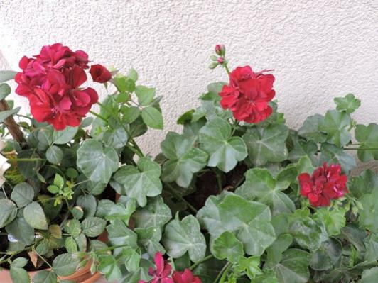 Name:  047.jpg
Views: 1049
Size:  45.7 KB