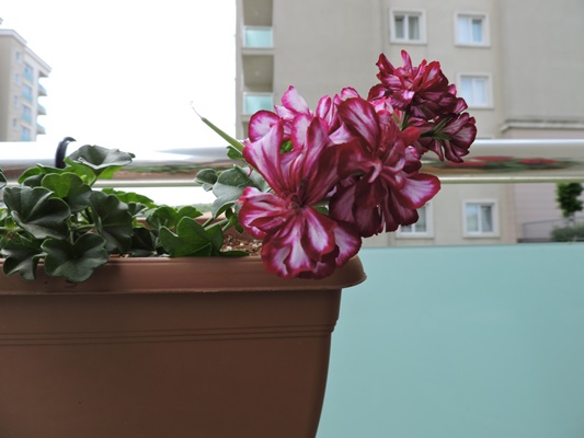 Name:  056.JPG
Views: 985
Size:  64.4 KB