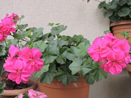 Name:  044.jpg
Views: 1062
Size:  34.7 KB