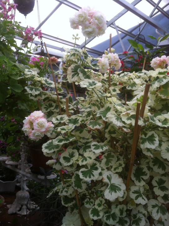 Name:  image.jpg
Views: 1112
Size:  75.1 KB