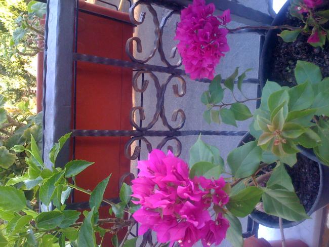 Name:  RSC 002.jpg
Views: 2768
Size:  57.3 KB