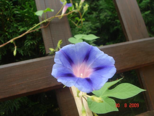 Name:  DSC07339.jpg
Views: 1102
Size:  34.9 KB