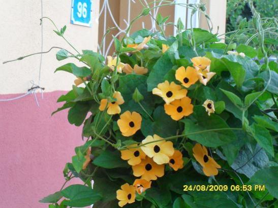 Name:  725.jpg
Views: 1109
Size:  41.9 KB