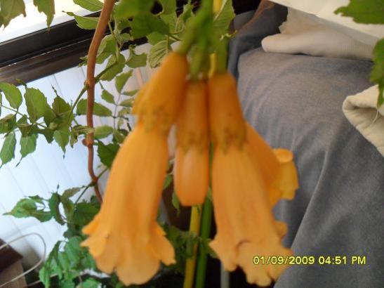Name:  012.jpg
Views: 2597
Size:  32.4 KB