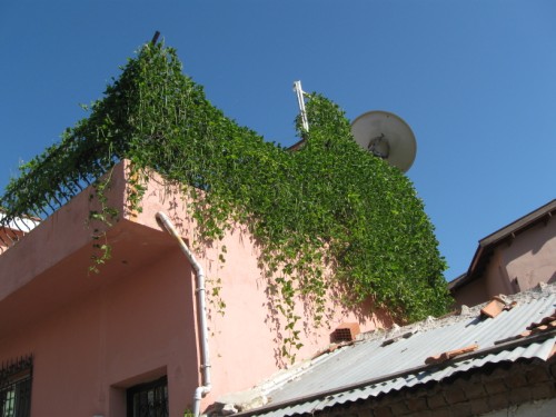 Name:  selluka1.jpg
Views: 1504
Size:  58.8 KB