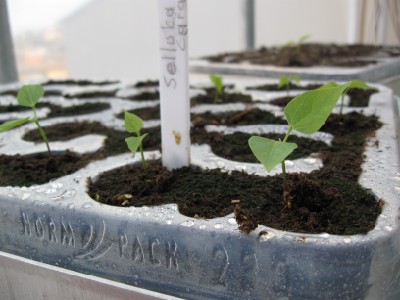 Name:  Resim 024 (400 x 300).jpg
Views: 602
Size:  42.3 KB