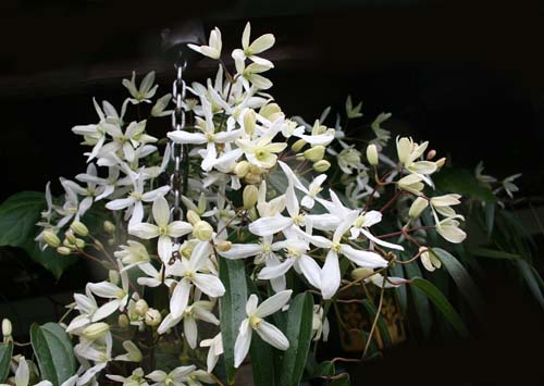 Name:  007.JPG
Views: 916
Size:  62.7 KB