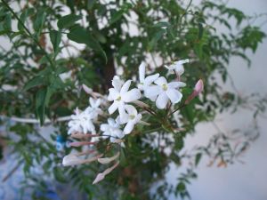 Name:  5 090.jpg
Views: 2132
Size:  35.9 KB